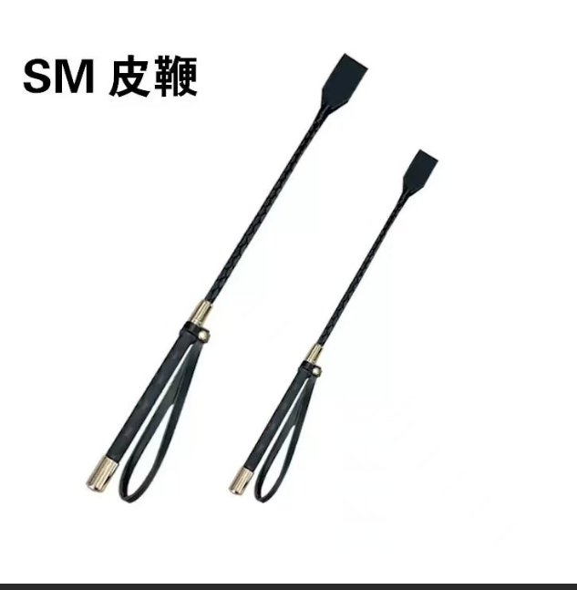 教鞭10